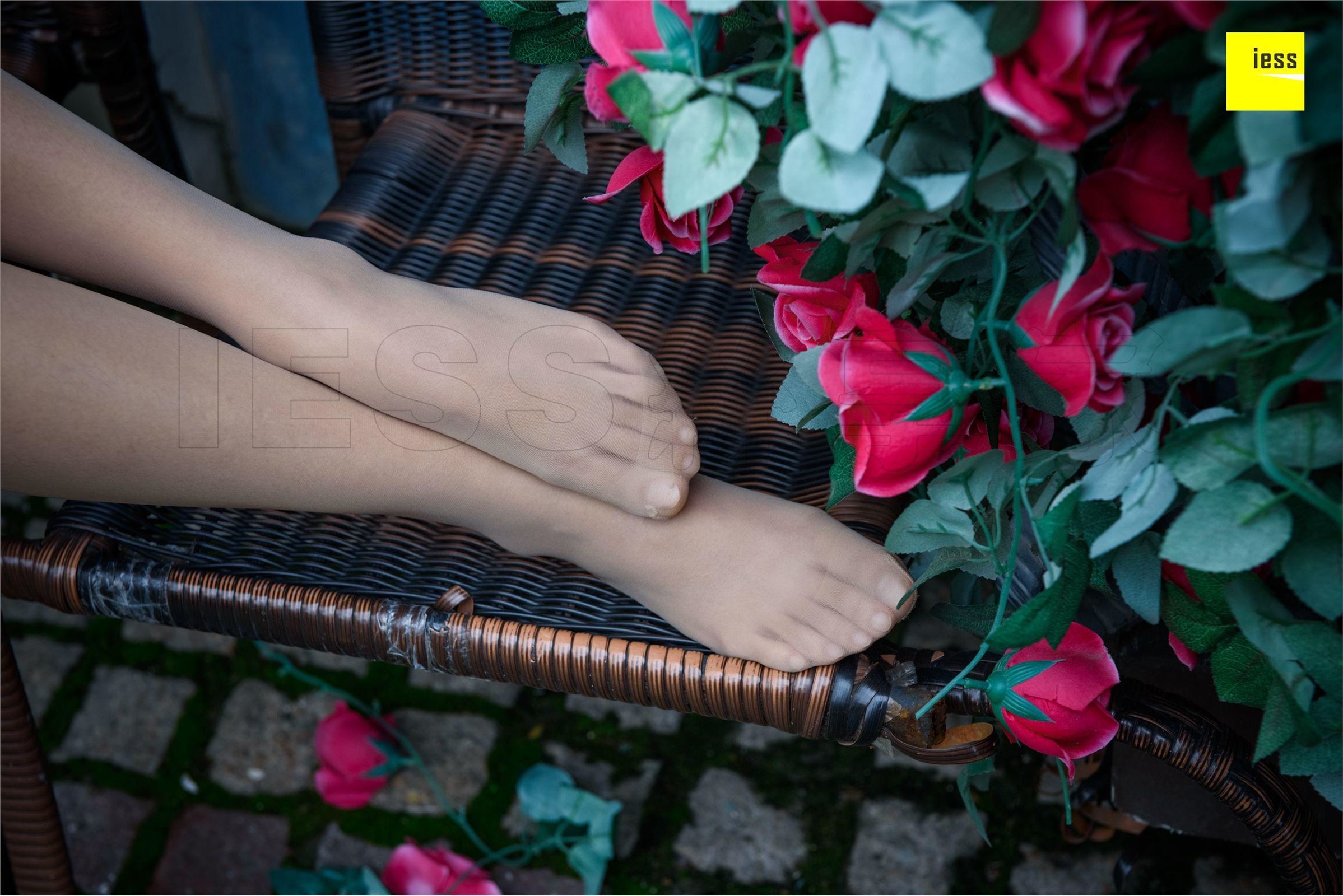 [IESS异思趣向]2018-02-01 No.161婉萍《玫瑰与肉丝》